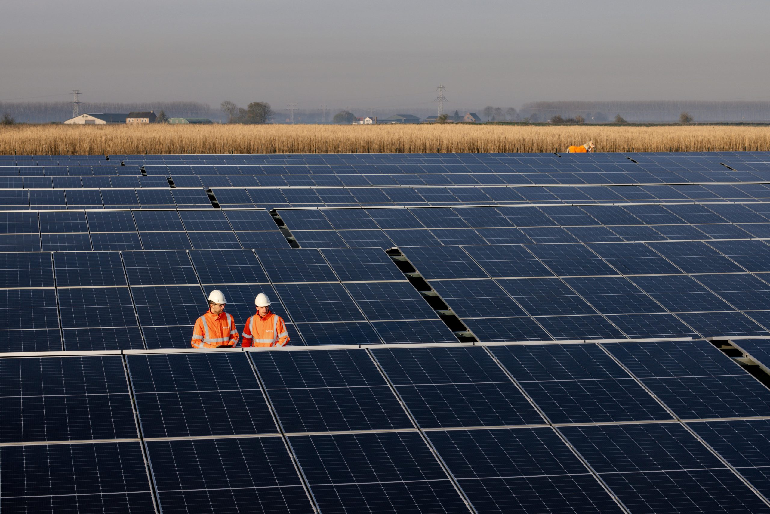 Zonnepanelen-grond